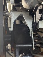 IMG_3951.jpeg