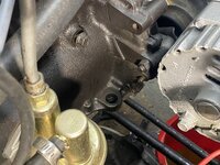 IMG_3953.jpeg