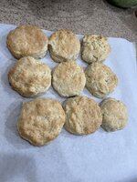 IMG_4520.jpeg IMG_4520.jpeg