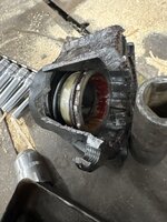 IMG_3396.jpeg
