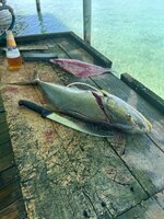 IMG_5533.jpeg