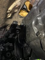IMG_2890.jpeg