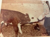 IMG_2298.jpeg