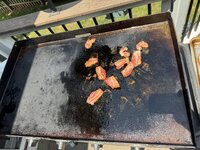 IMG_4860.jpeg
