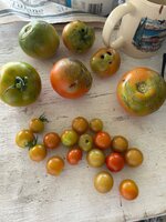 IMG_5672.jpeg