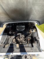 IMG_5848.jpeg