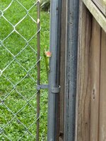 IMG_5729.jpeg