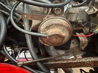 IMG_2799.jpeg
