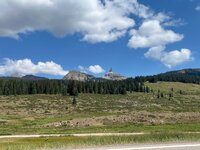 IMG_0502.jpg