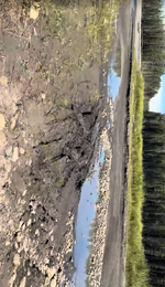 1785693804819.png