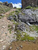 20260721_121115.jpg