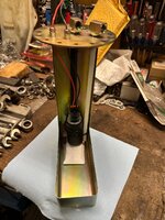 IMG_7886.jpeg