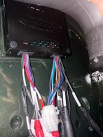 IMG_0985.jpeg
