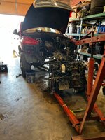 IMG_2737.jpeg