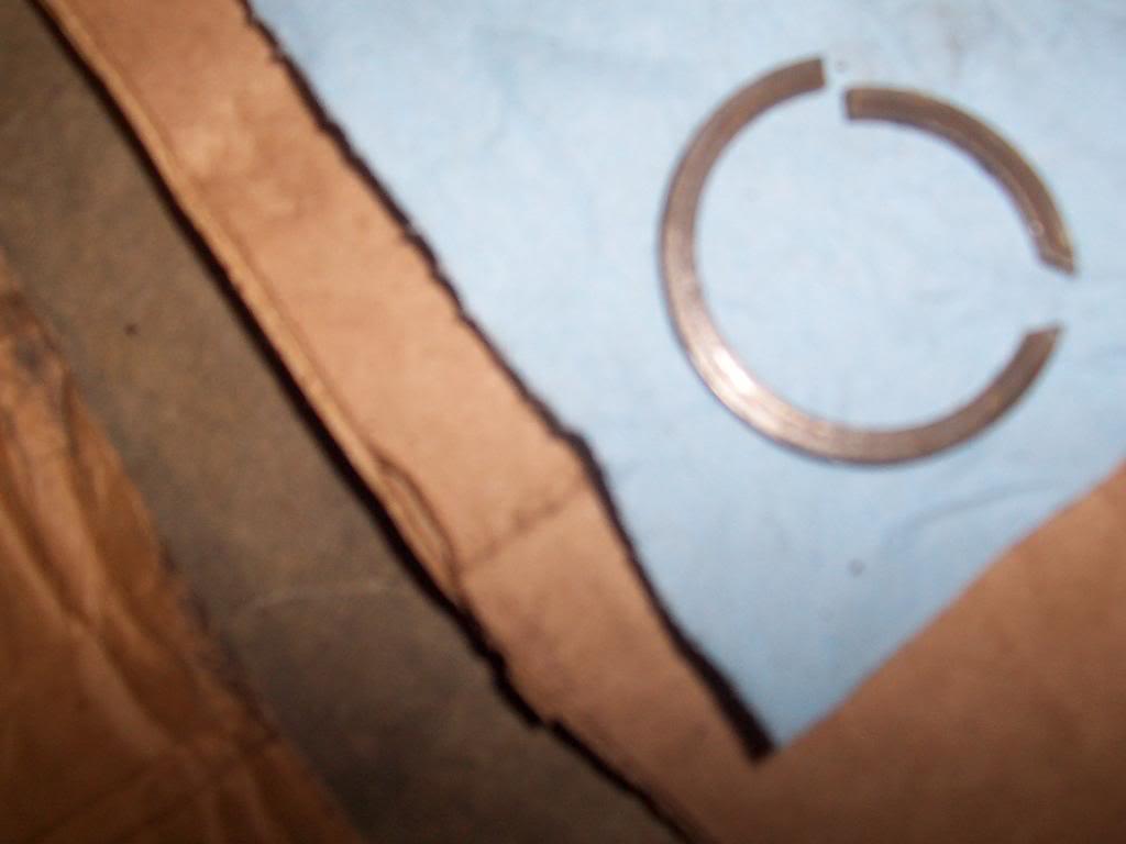 100_4590-1.jpg