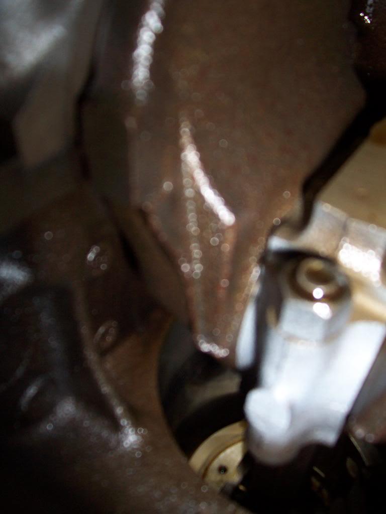 100_4790-1.jpg
