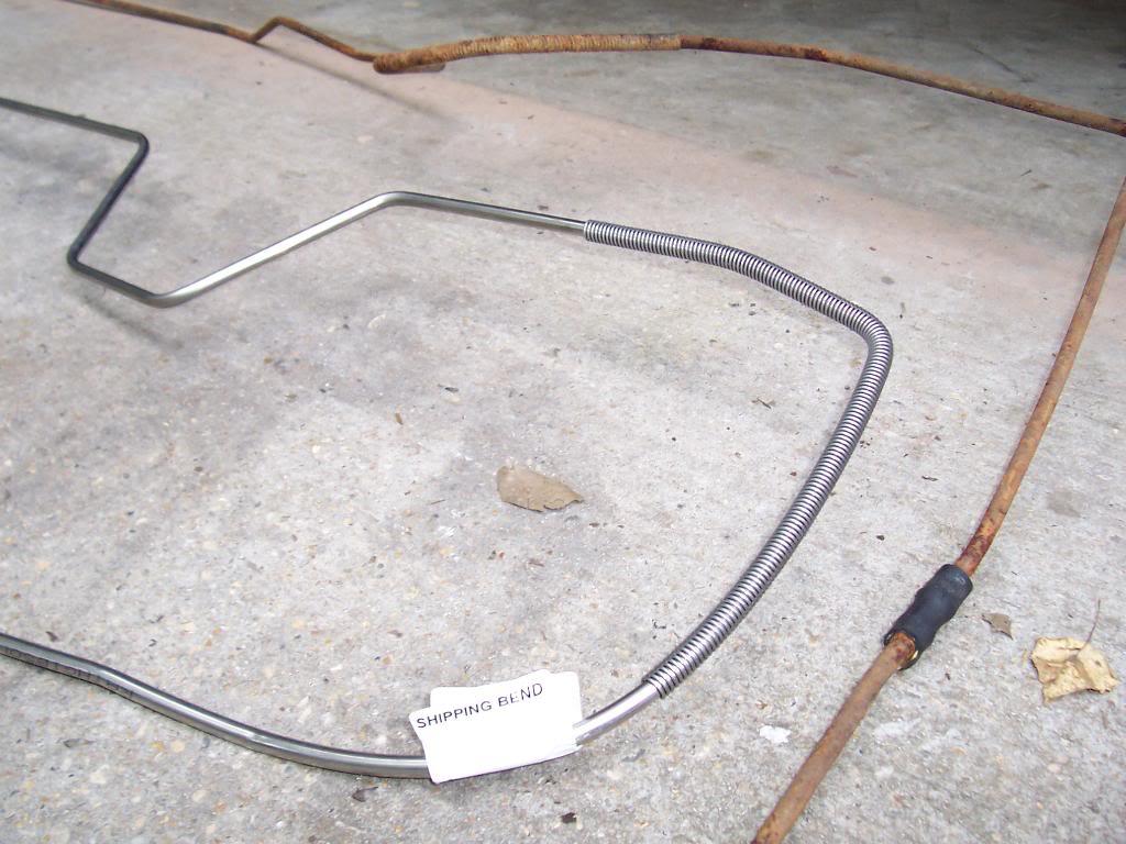 100_4900-1.jpg