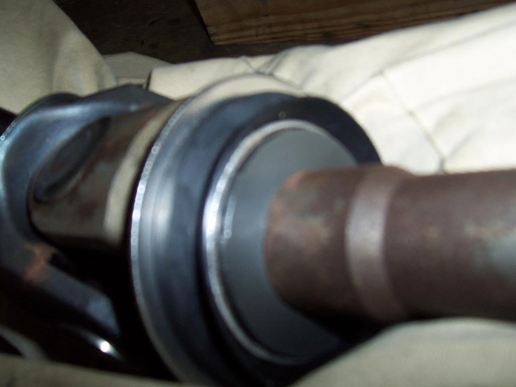 100_5166-1.jpg