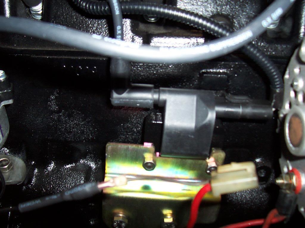 0138-1.jpg
