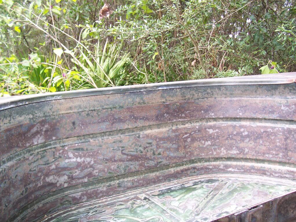 0177-1.jpg