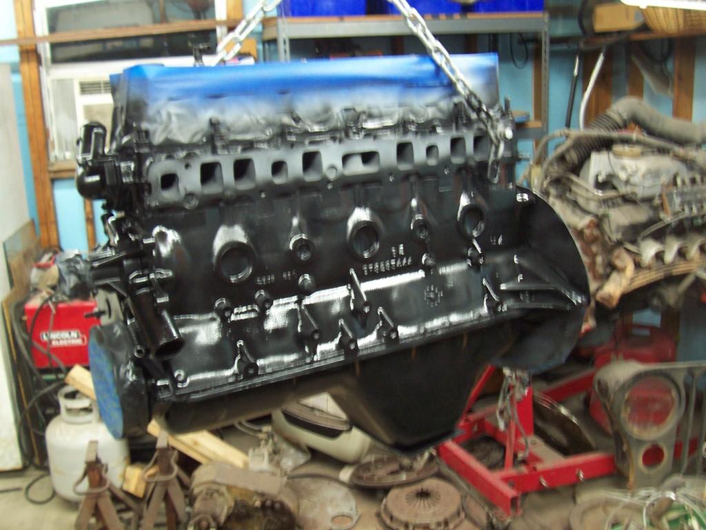 01019-1.jpg