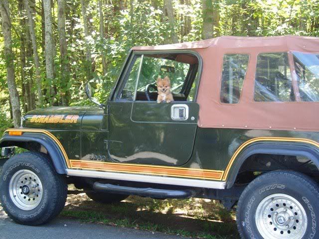 FishingFoxyJeep-1.jpg