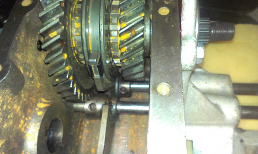 IMAG0786_zps061d90e6-1.jpg