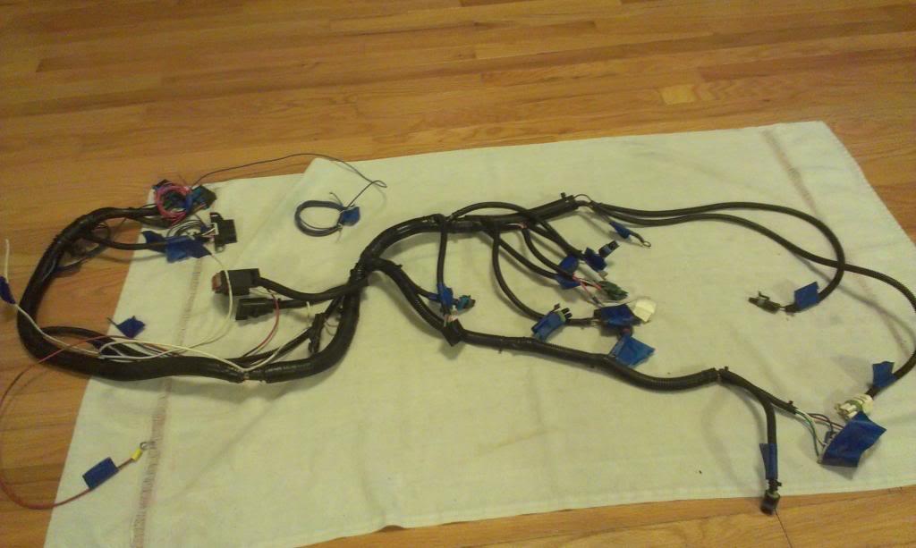 IMAG1406_zps83d9b486-1.jpg