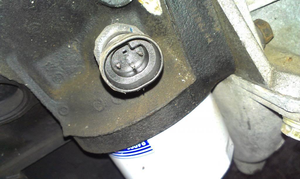 IMAG1483_zpsa71444ca-1.jpg