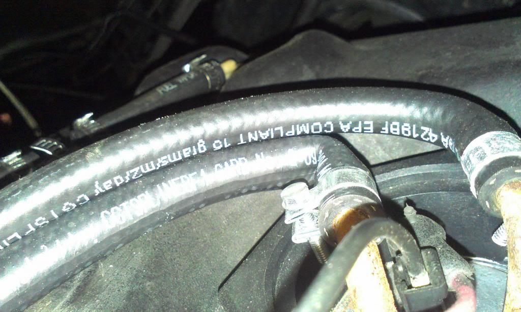 IMAG1588_zps02851cb1-1.jpg