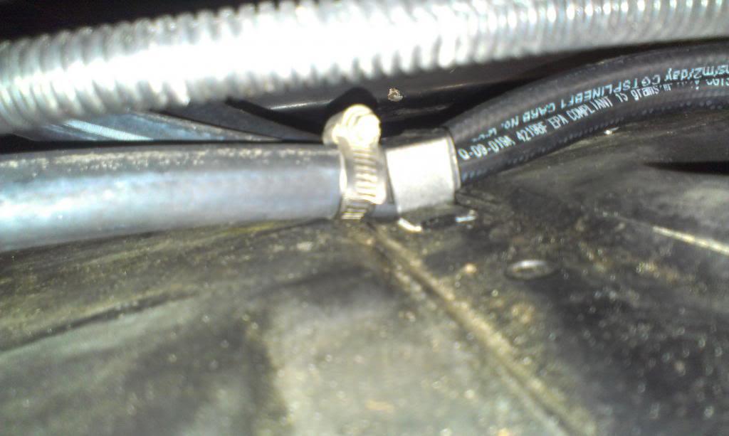 IMAG1595_zps86a4c04a-1.jpg