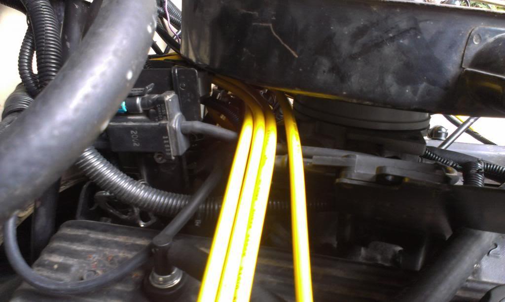 IMAG2042_zps1cd16365-1.jpg