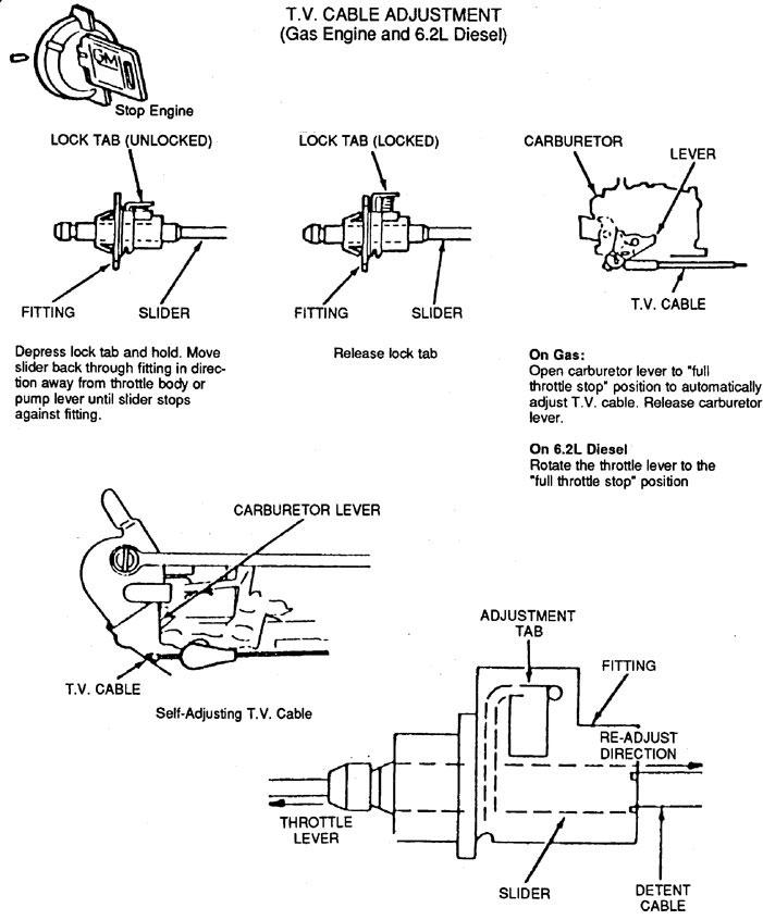 tec1-1.jpg