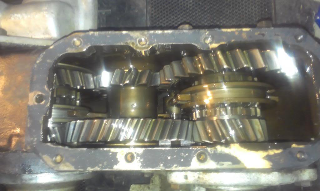 IMAG3028_zpse95abad4-1.jpg