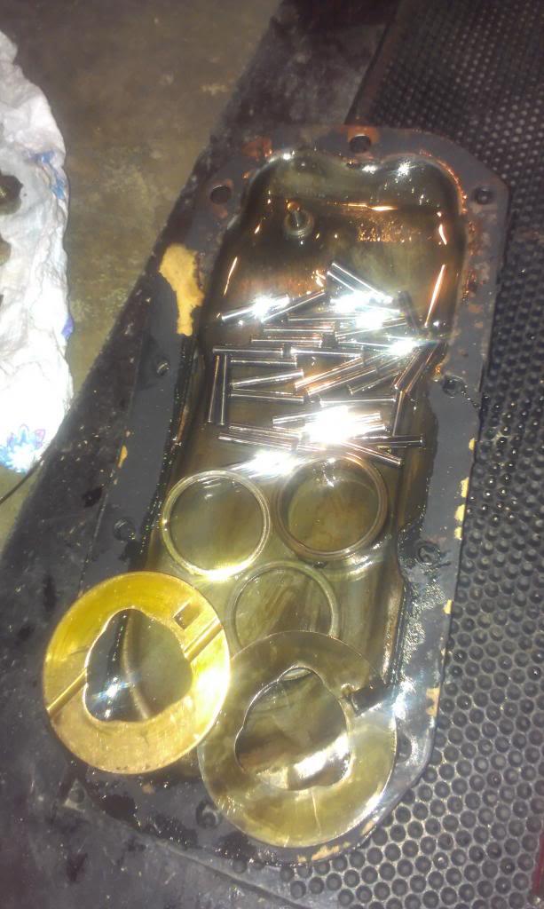 IMAG3031_zps853330f6-1.jpg
