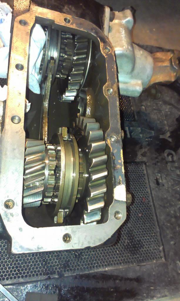 IMAG3038_zps0ea856bc-1.jpg