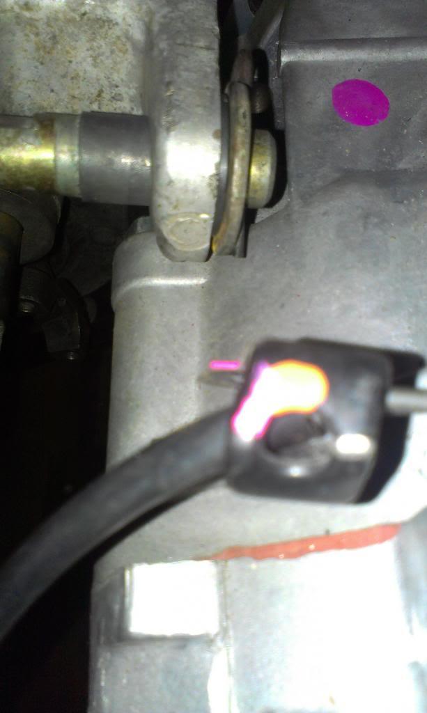 IMAG3062_zps75086320-1.jpg