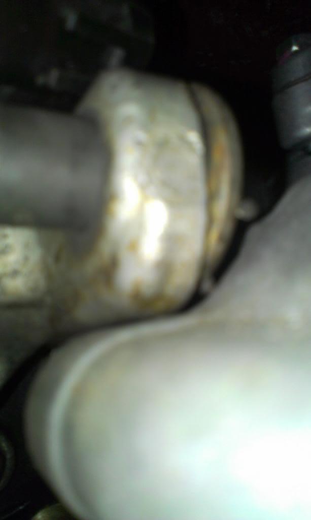 IMAG3064_zpsb2bde94c-1.jpg