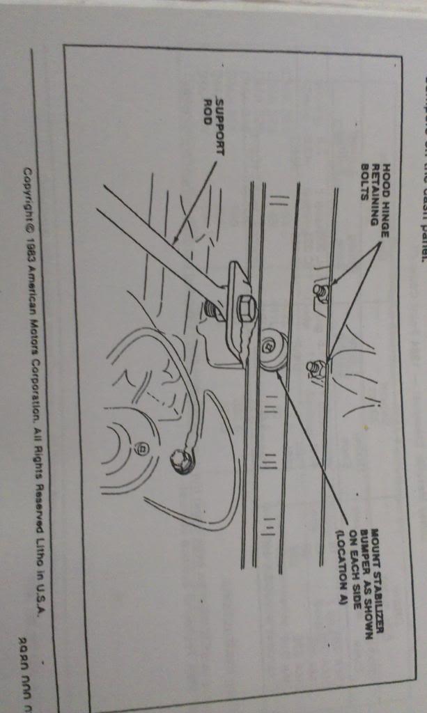 IMAG3232_zps64deb781-1.jpg