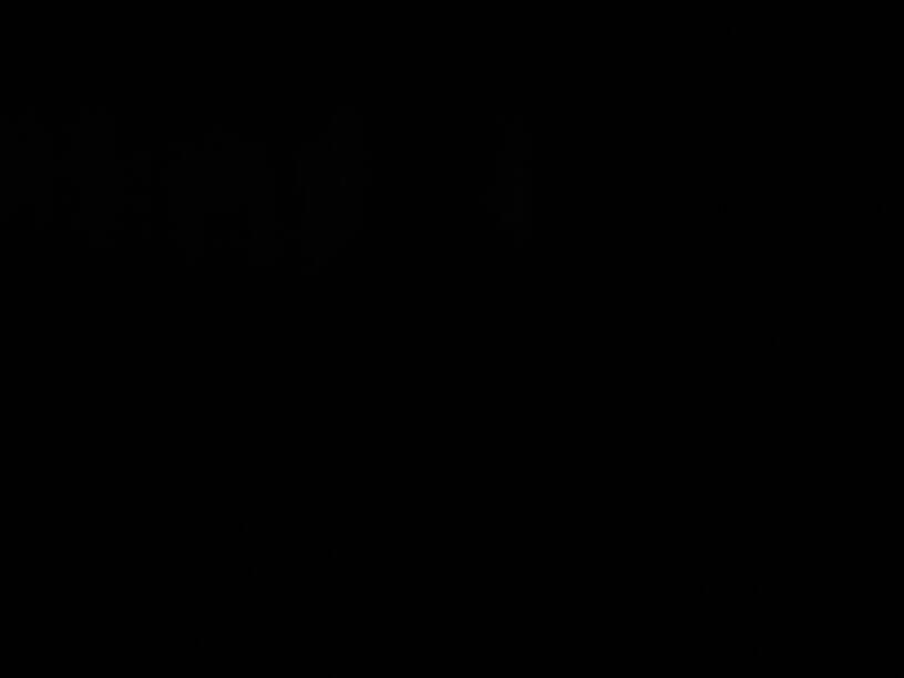 b1b76962b0146429b0c9012b40e956ed-1.jpg