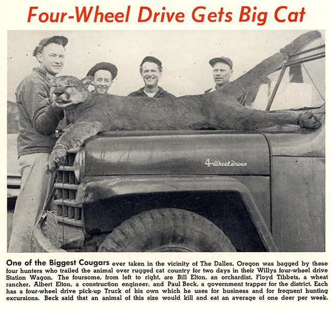 195506willysnewspg8cougaronjeep-1.jpg