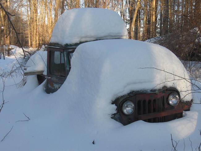 2015winterted0-1.jpg