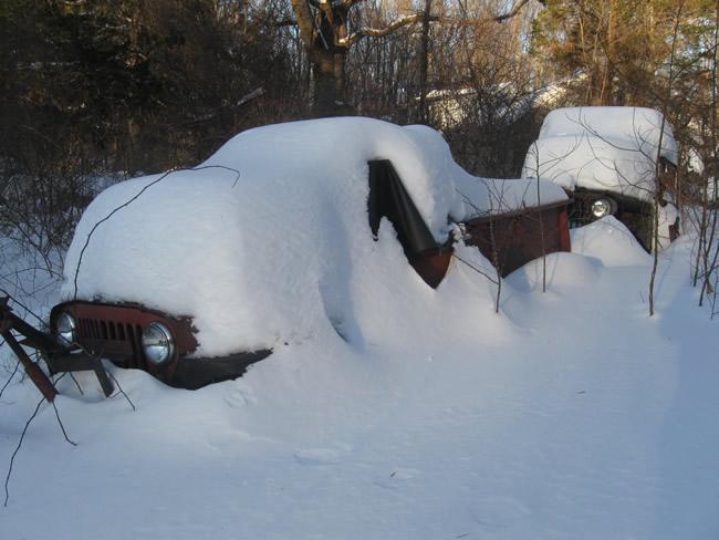 2015winterted2-1.jpg