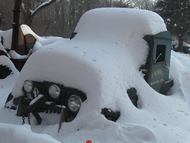 2015winterted3-1.jpg