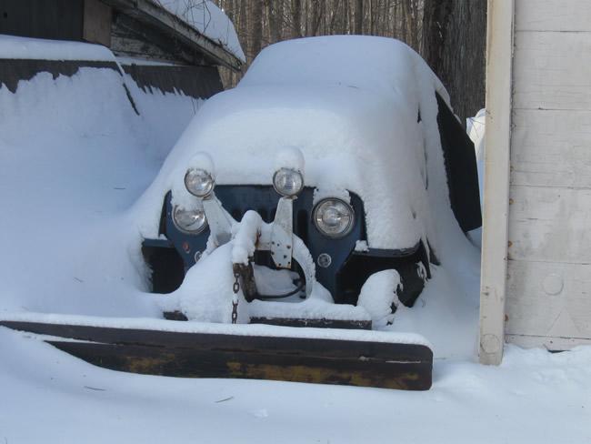 2015winterted6-1.jpg